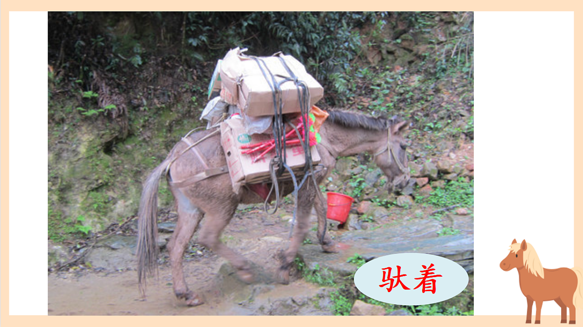 18353550第7页