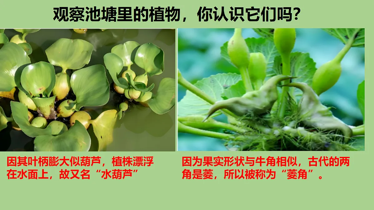 18353804第2页