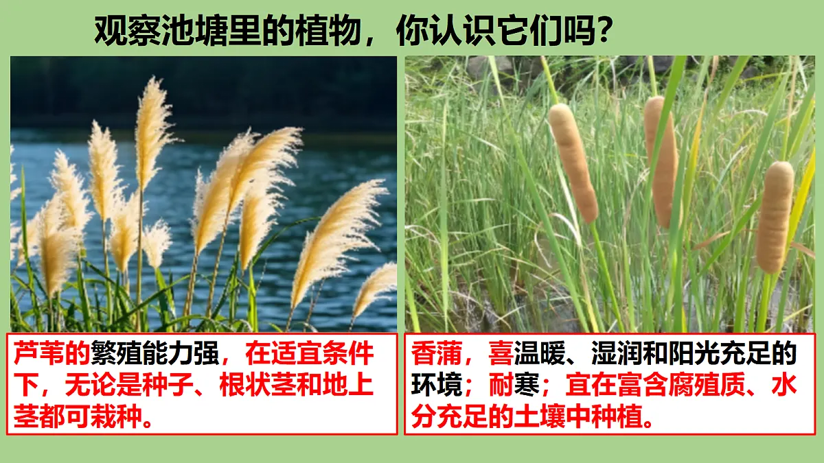 18353804第3页