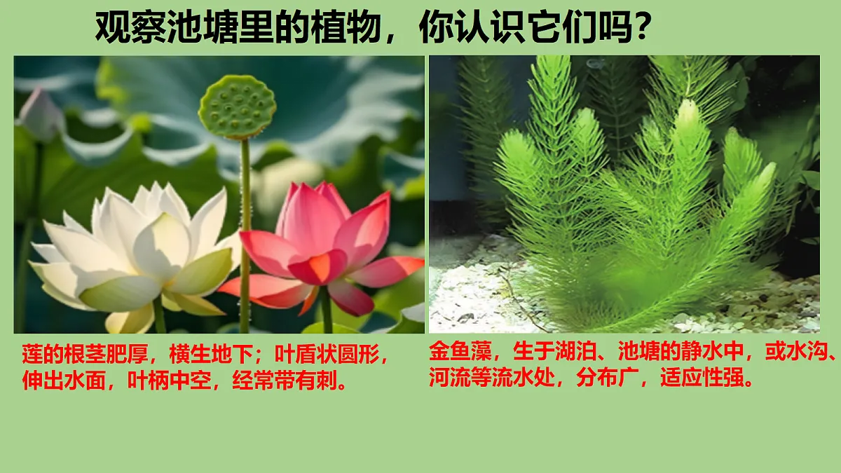 18353804第4页
