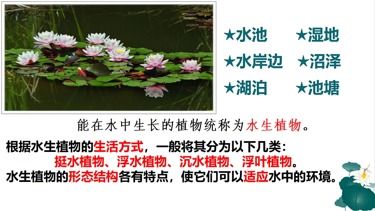18353804第5页