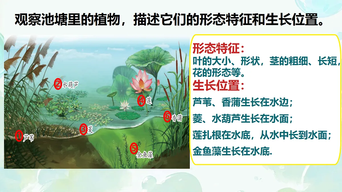 18353804第6页