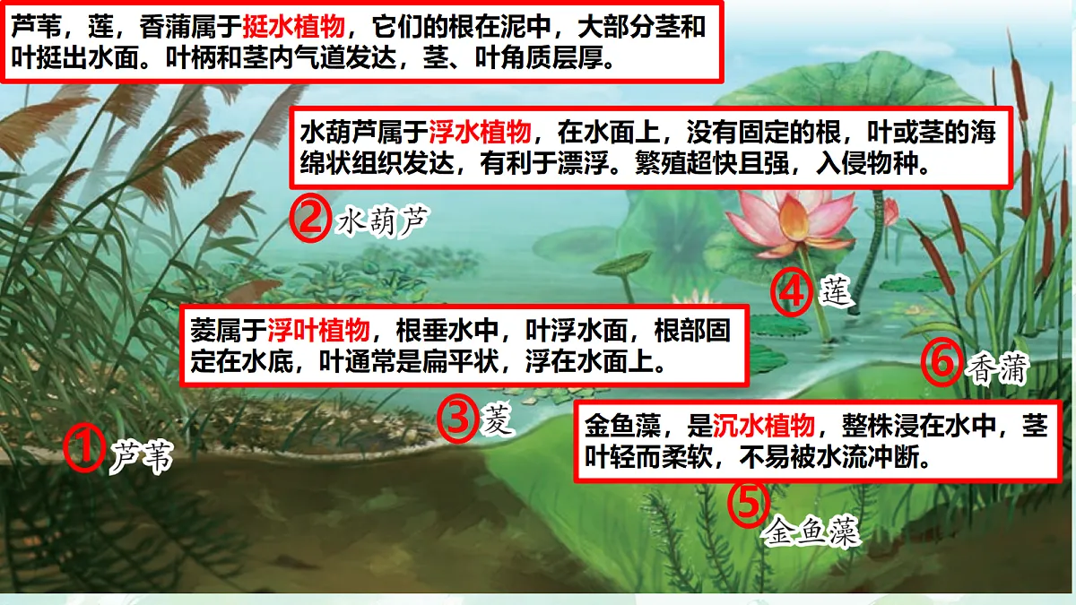 18353804第7页
