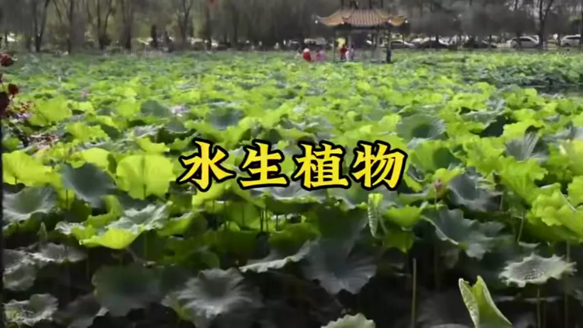 18353804第8页