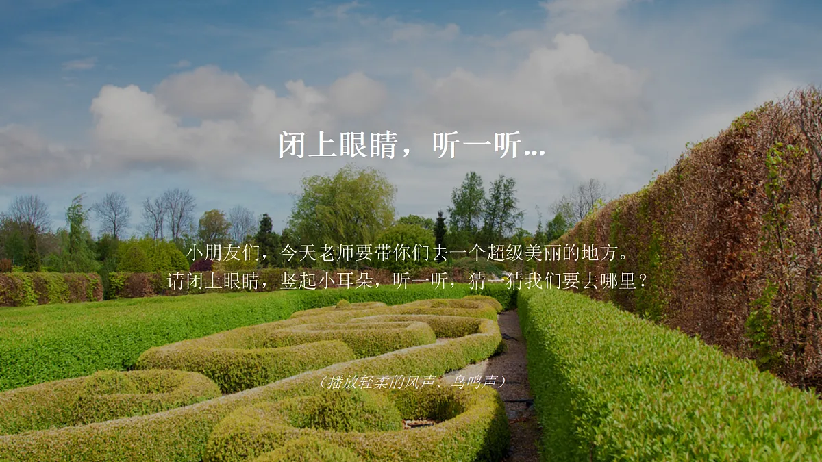 18355075第2页