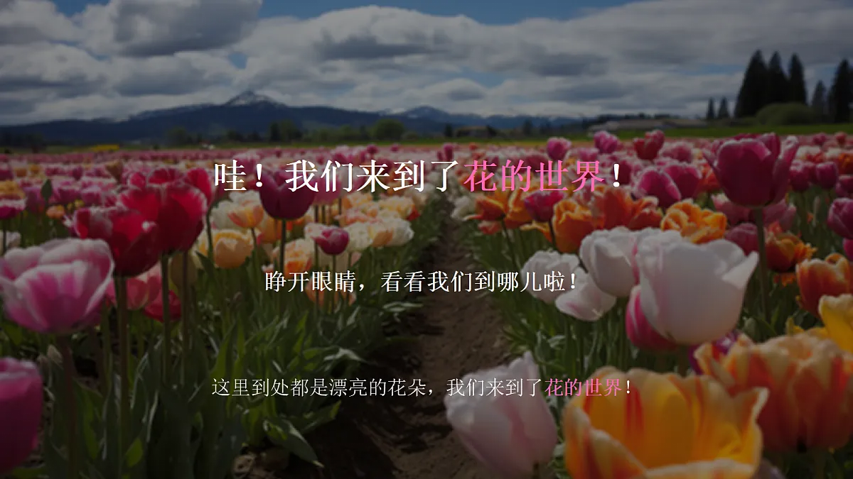 18355075第3页