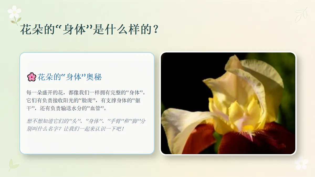 18355075第6页
