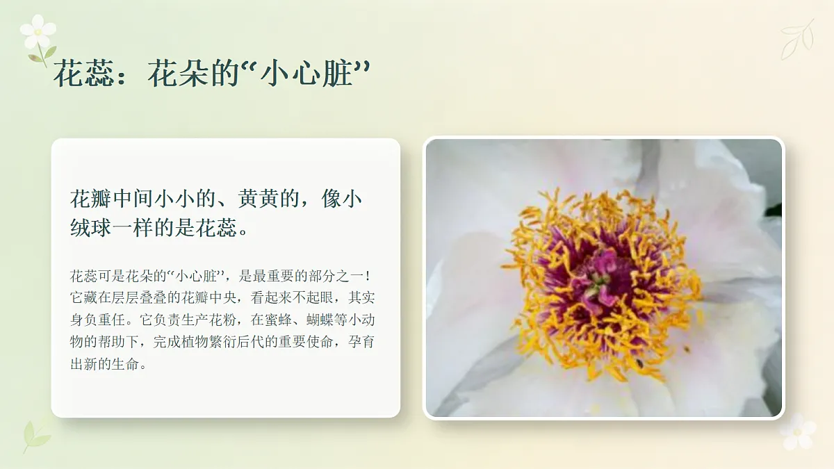 18355075第8页