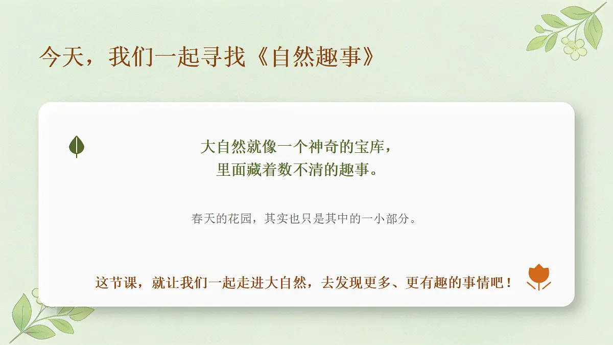 18355079第5页