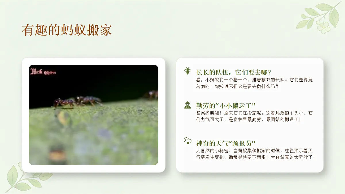 18355079第7页