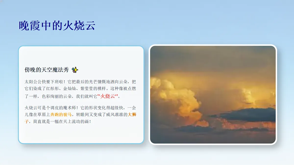 18355100第7页