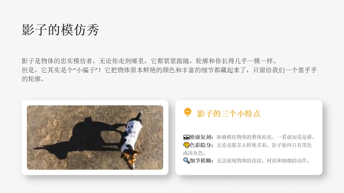 18355994第8页