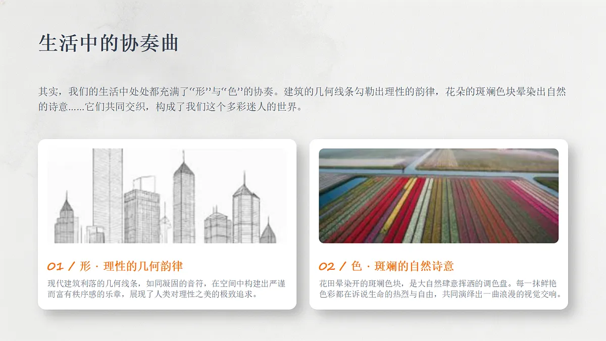 18355995第3页
