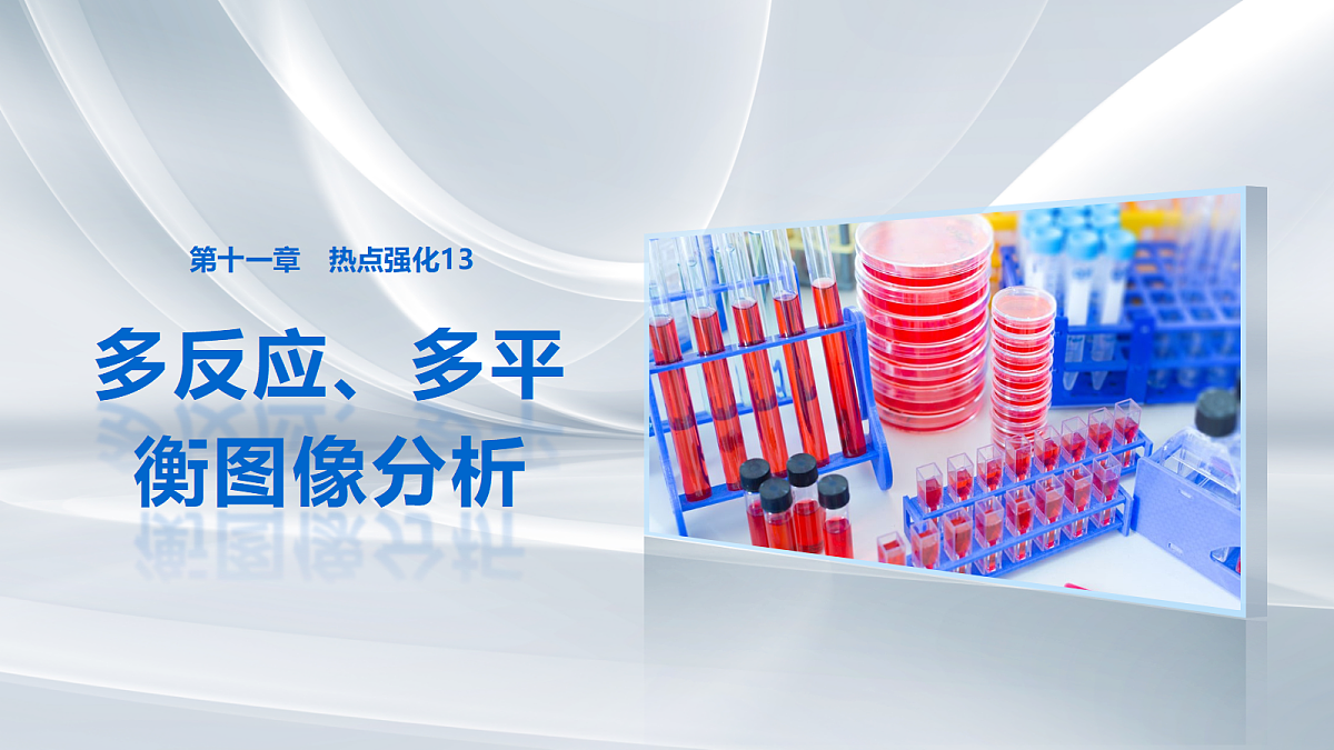 第十一章 热点强化13 多反应、多平衡图像分析第1页