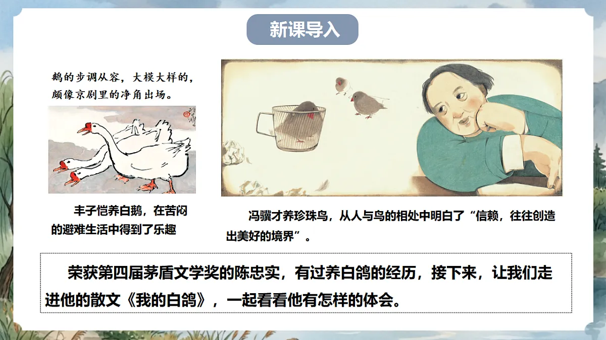 人教部编版语文七上 第18课《我的白鸽》课件第2页