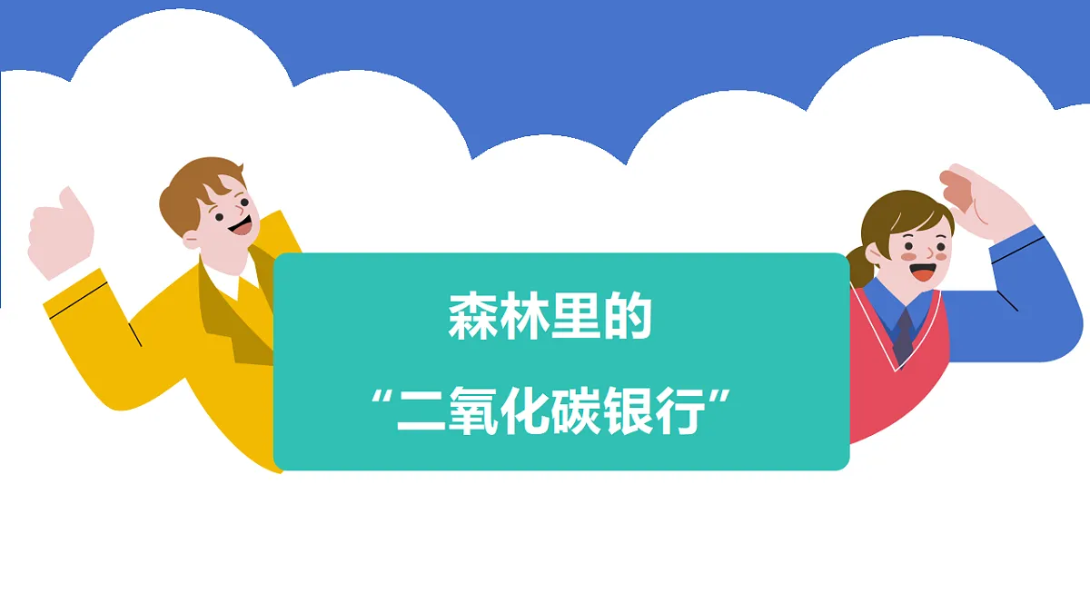 第十单元《探寻热带雨林的固碳功能》跨学科主题学习课件第3页