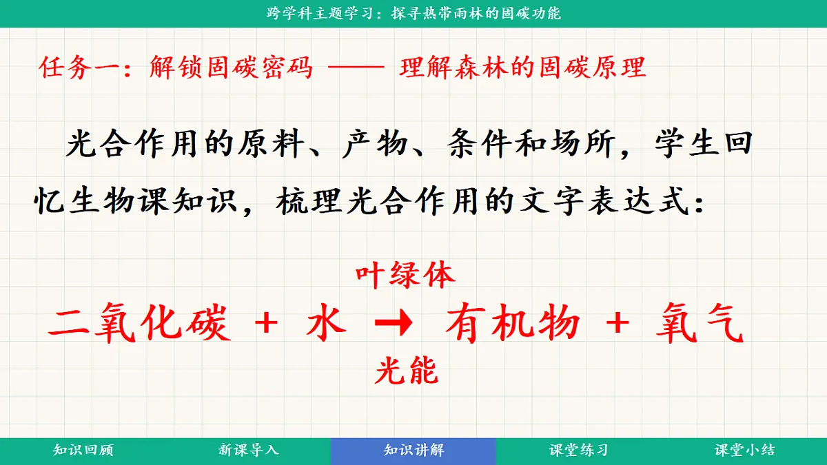 第十单元《探寻热带雨林的固碳功能》跨学科主题学习课件第6页
