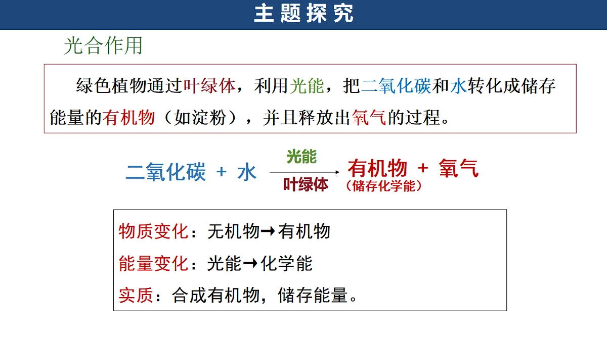 第十单元《探寻热带雨林的固碳功能》跨学科主题学习课件第8页