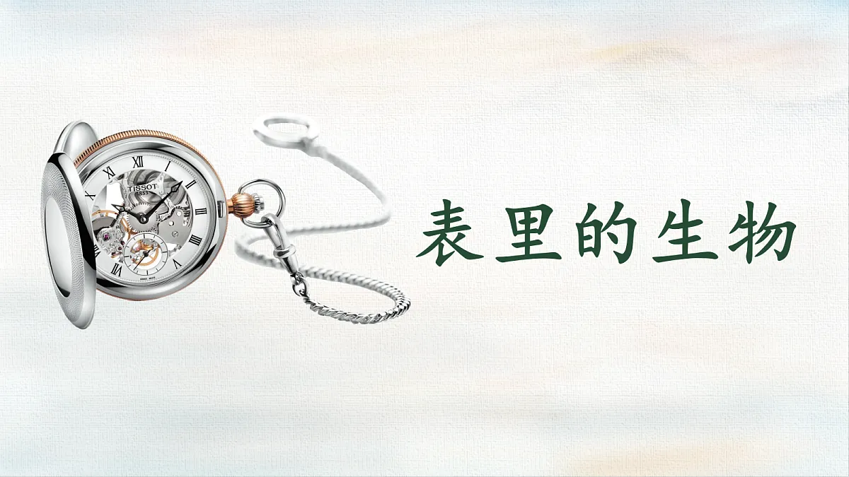 18359411第1页