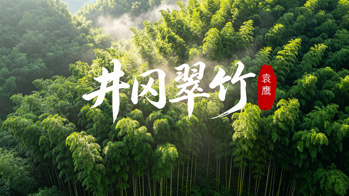 18362843第1页