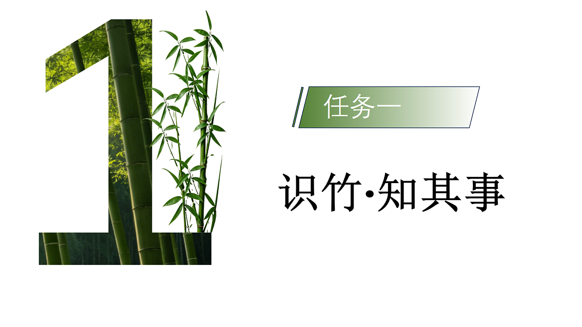 18362843第4页