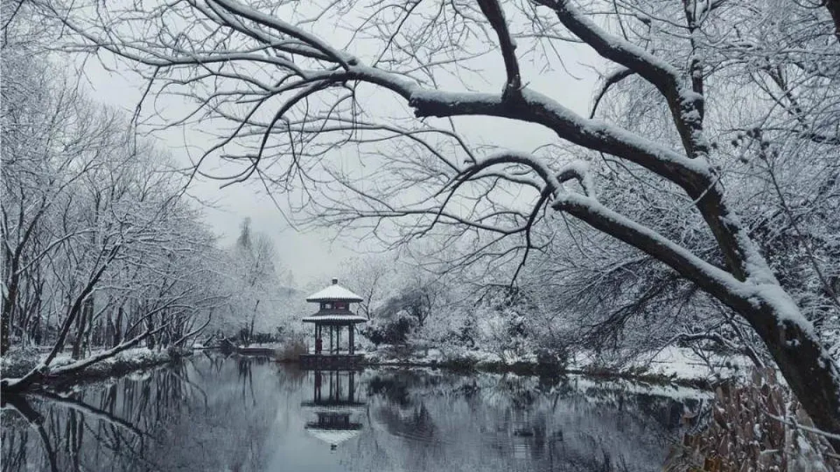 18363027第4页