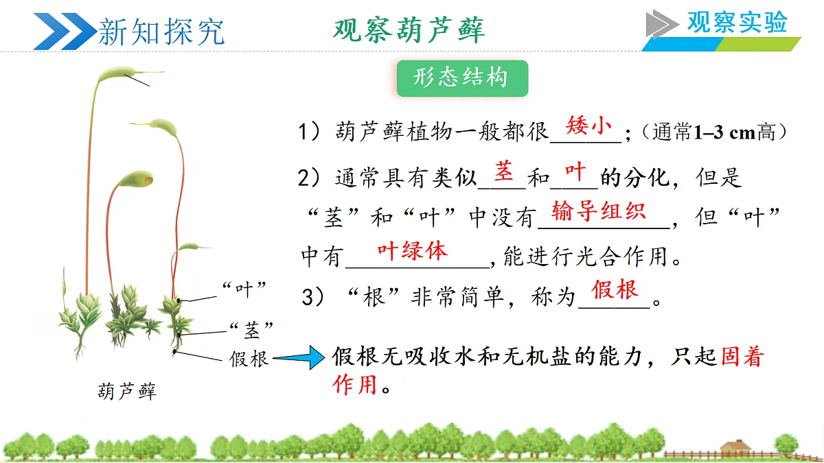 18363239第7页