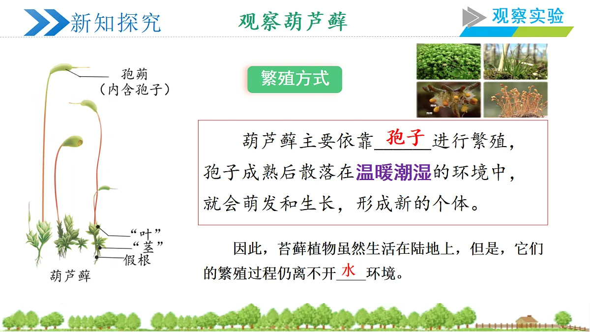 18363239第8页