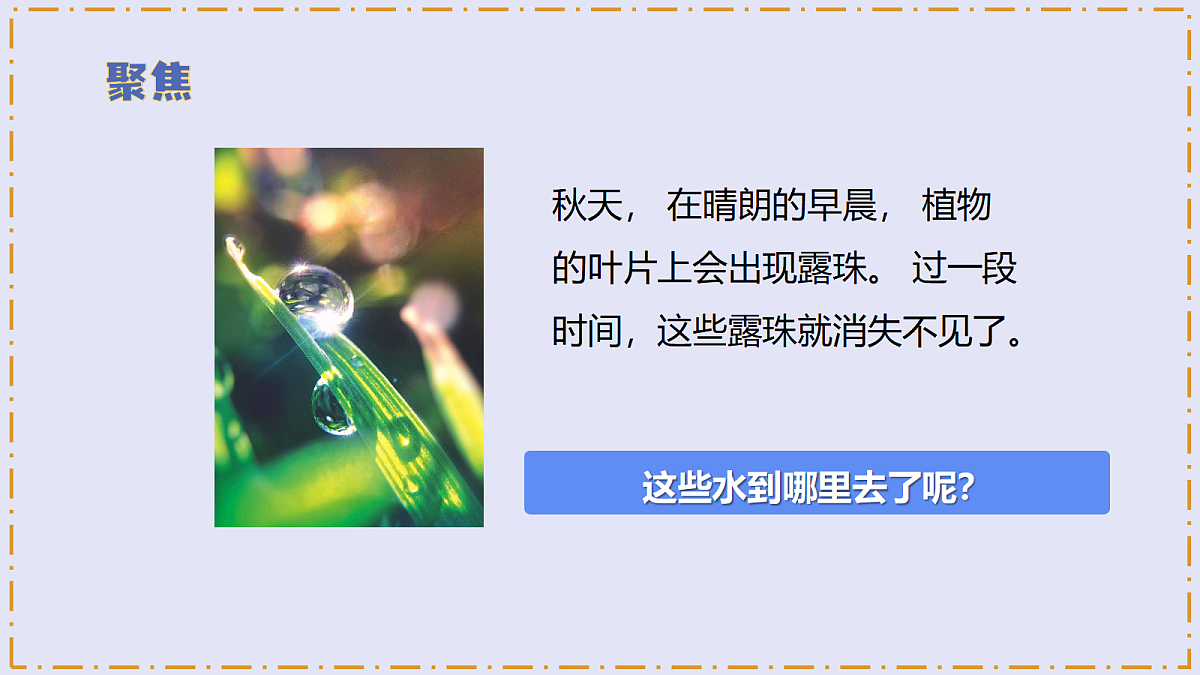 2.1 《水到哪里去了》 - 小学科学三级上册 同步教学课件(教科版2024)第5页