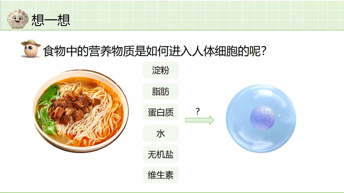 18364075第2页