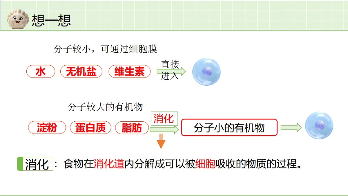 18364075第3页