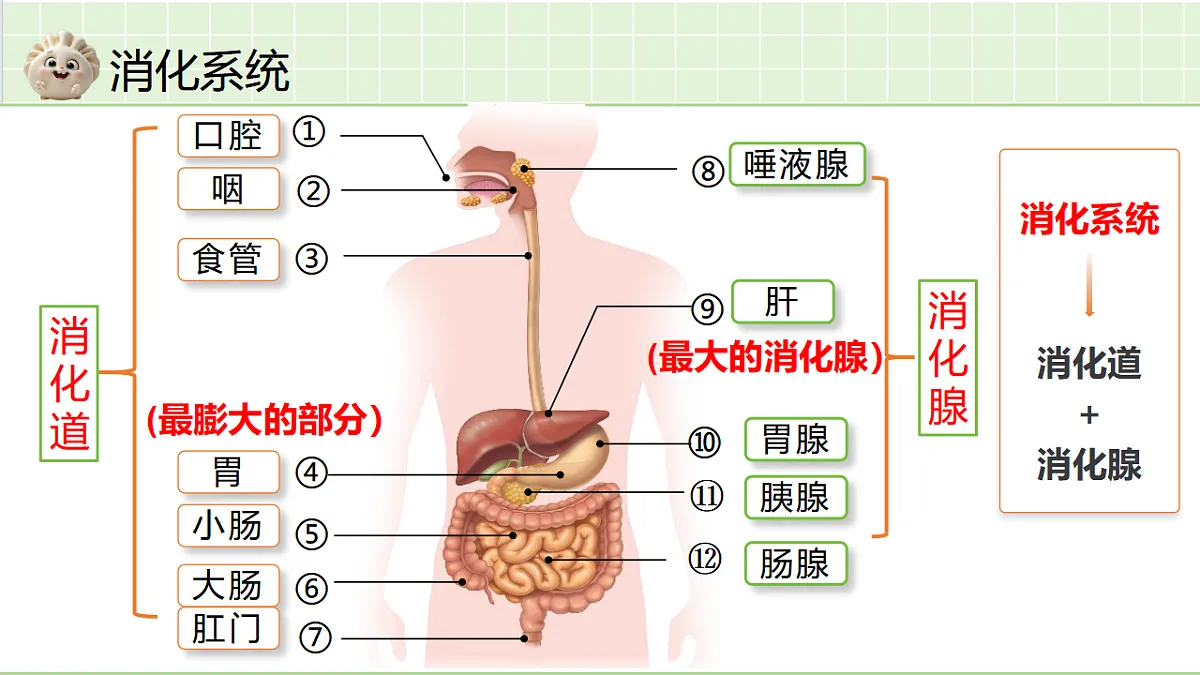 18364075第4页
