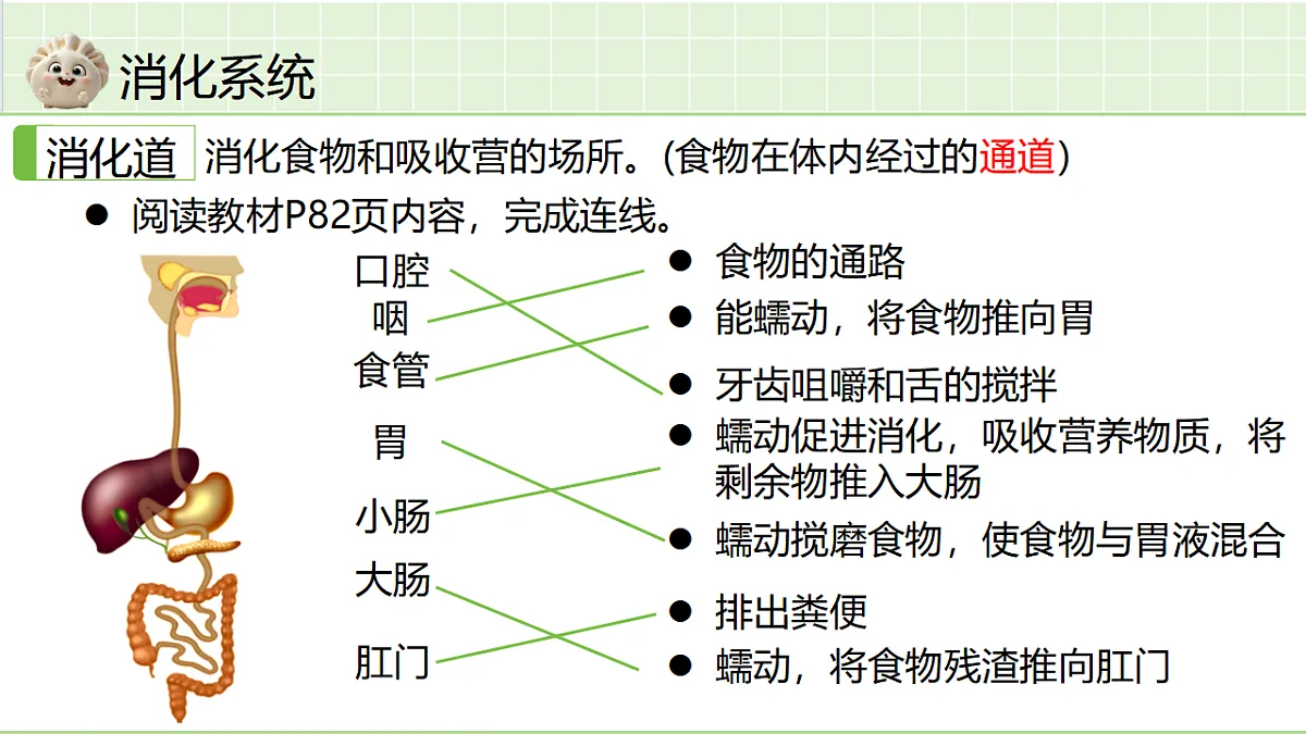 18364075第5页