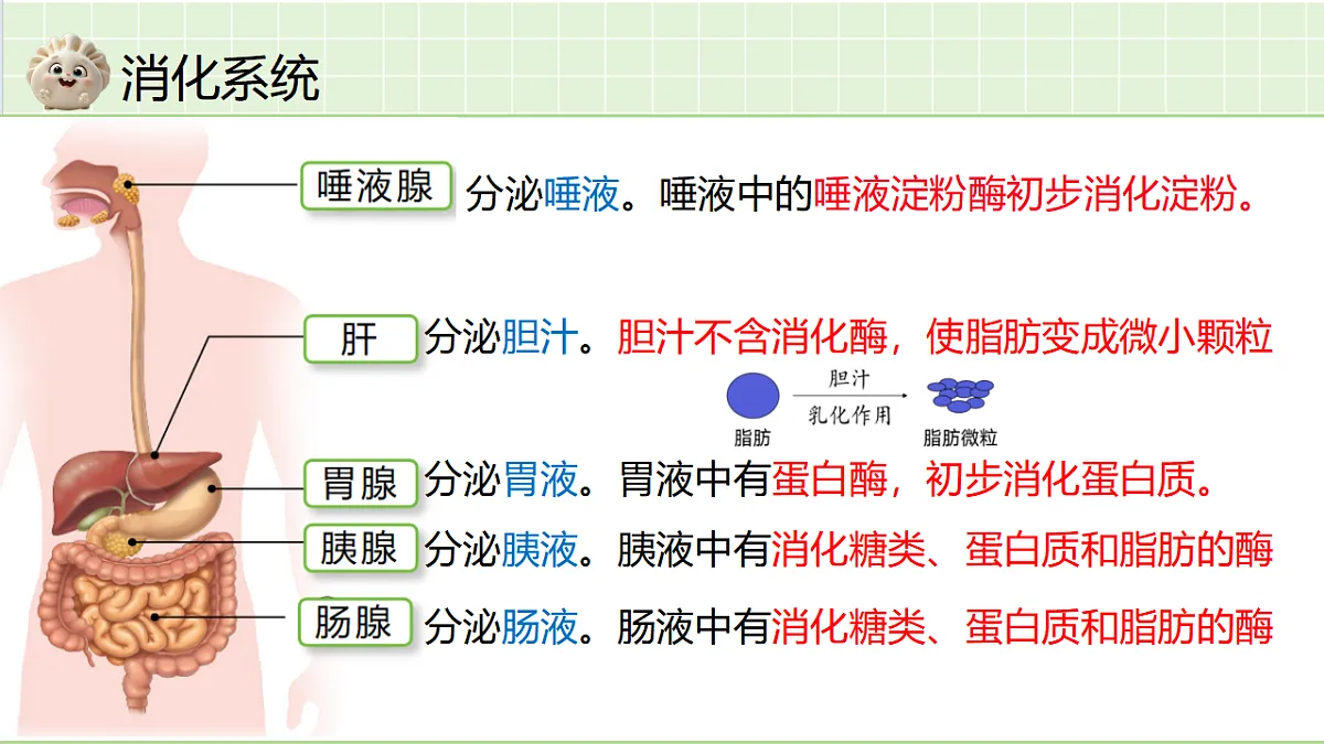18364075第7页