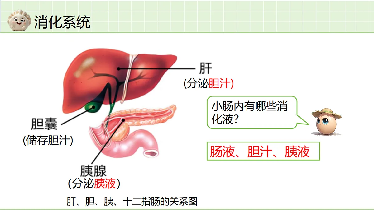 18364075第8页