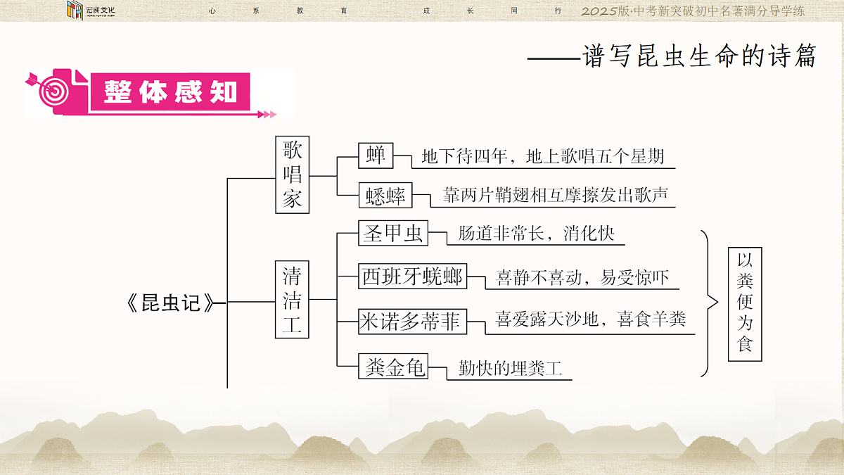 18364387第3页