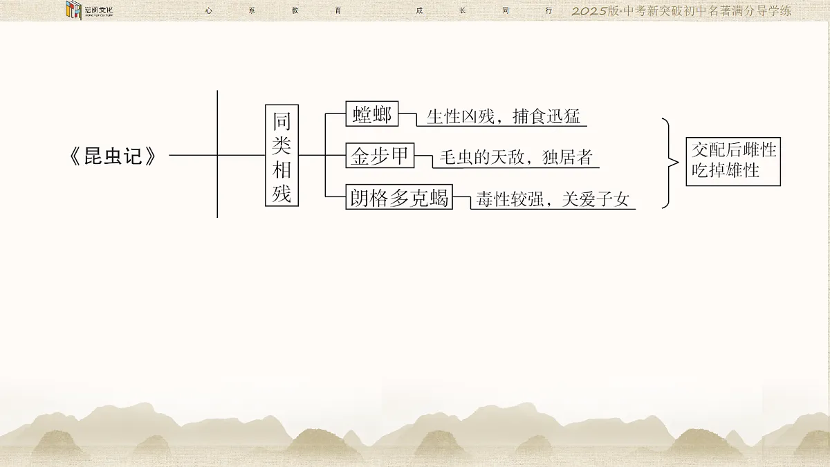 18364387第4页