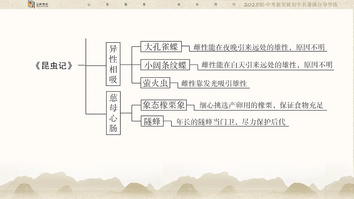 18364387第5页