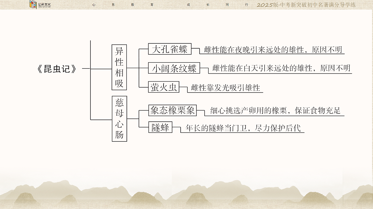 18364387第5页