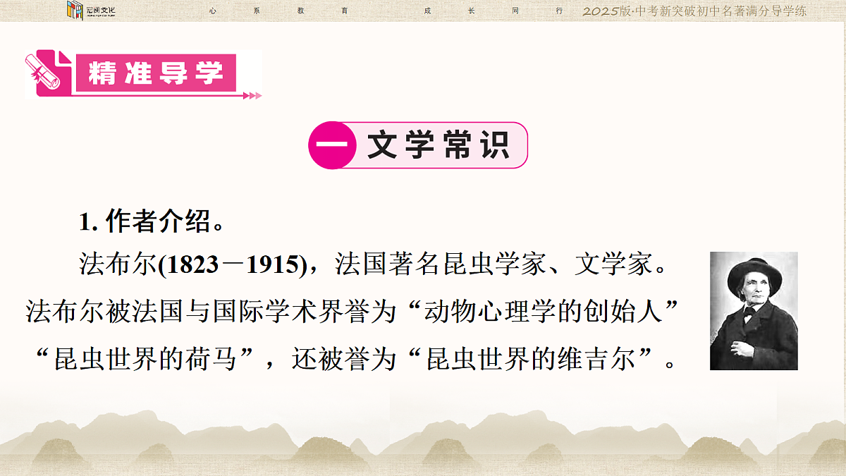 18364387第7页