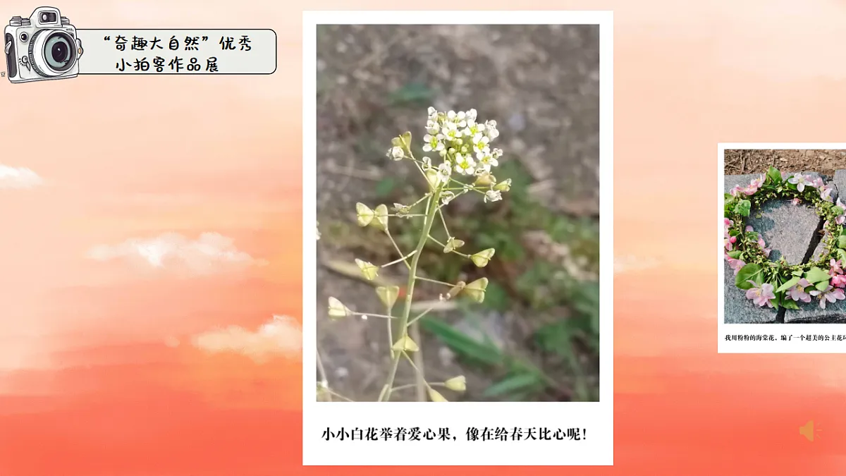 18364470第3页