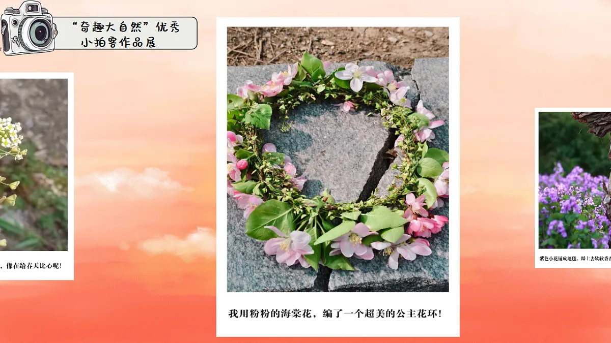 18364470第4页