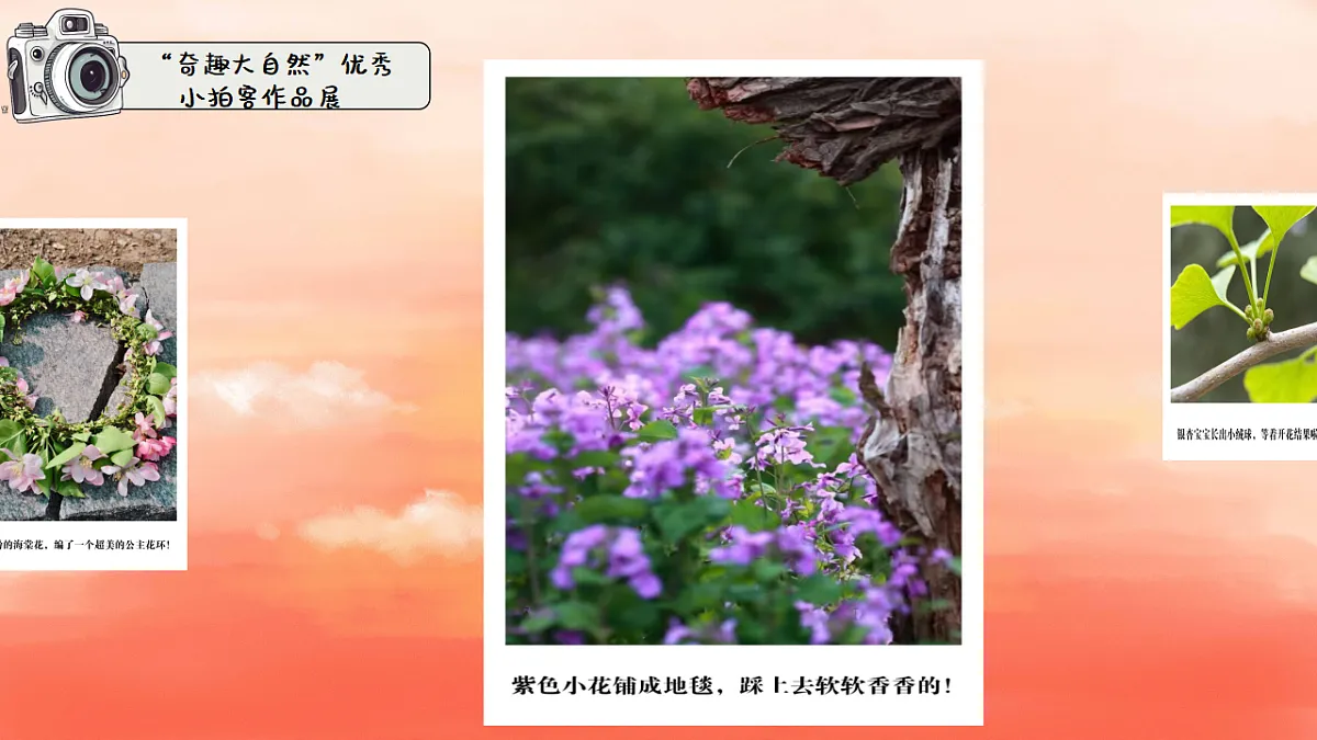 18364470第5页