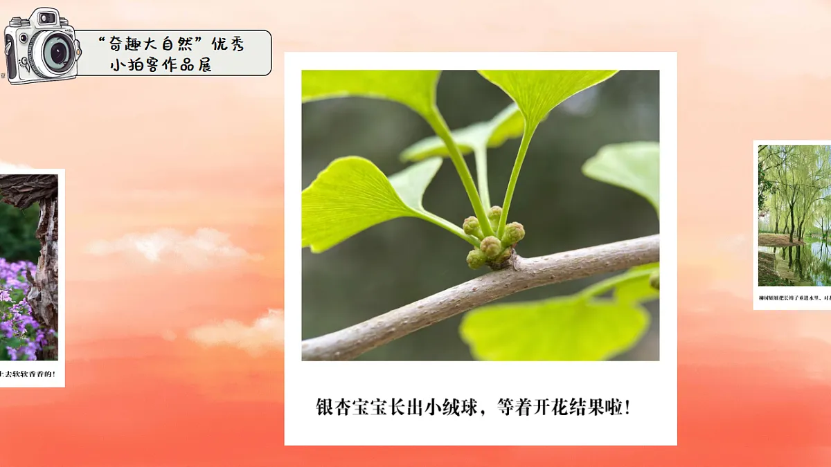 18364470第6页