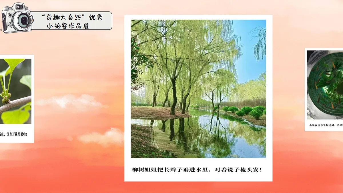 18364470第7页
