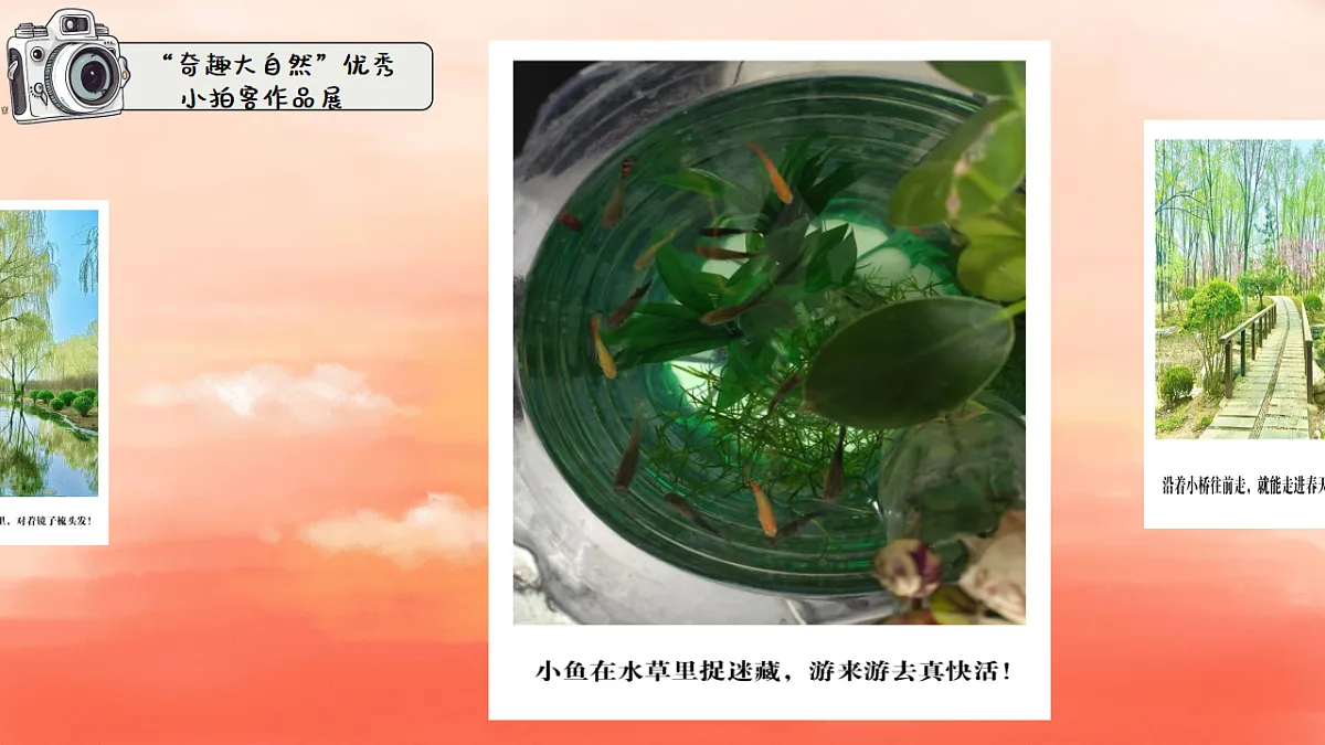 18364470第8页