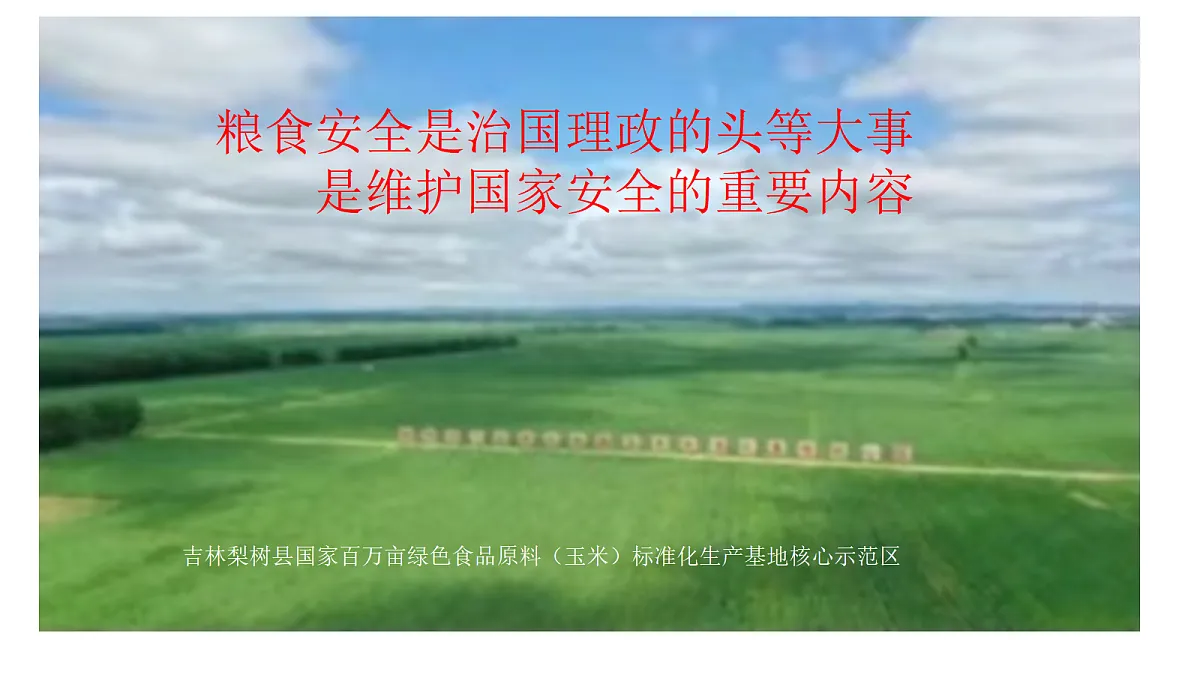 18365493第3页