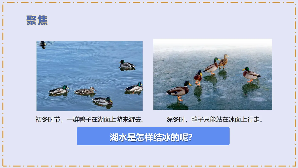 2.4 《水结冰了》 - 小学科学三级上册 同步教学课件(教科版2024)第5页