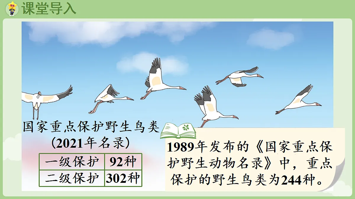 18367320第4页