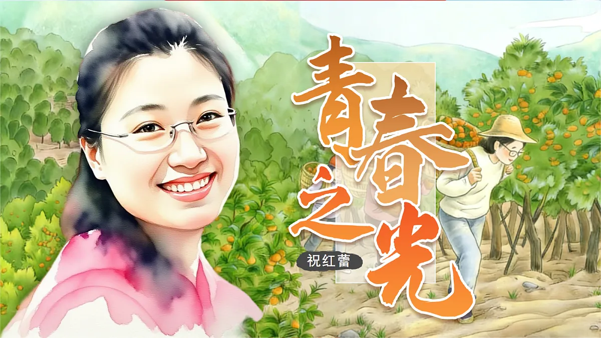 18367384第2页